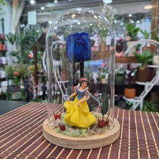 Cúpula Rosa Eterna Azul "Manzana Podrida"