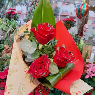 Trío Rosas Navideñas "Belén"