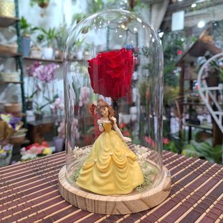 Cúpula Rosa Eterna Roja "Bella"