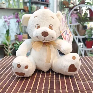 Osito Peluche Blanquito
