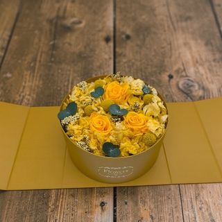 Golden Box Preservada