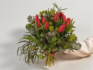 Ramo de 12 Tulipanes Rojos