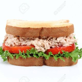 SANDWICH VEGETAL