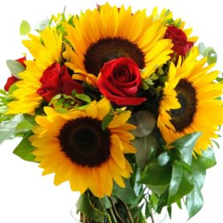 RAMO DE ROSAS Y GIRASOLES