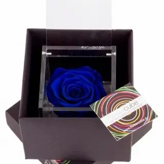 ROSA PERFUMADA PEQUEÑA AZUL