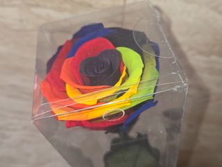 Rosa eterna Orgullo Arco Iris