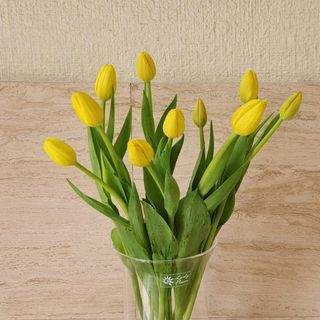 Ramo de tulipanes amarillos