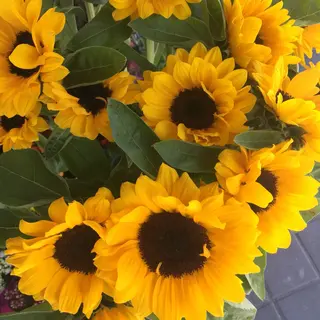 BOUQUET DE GIRASOLES GRANDE