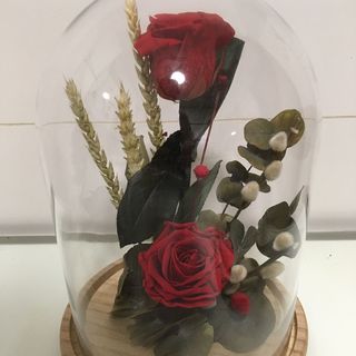 Cúpula con 2 rosas rojas preservadas