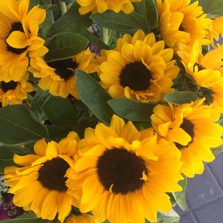 RAMO GRANDE DE GIRASOLES
