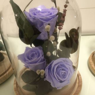 Cúpula grande de rosas preservadas azules