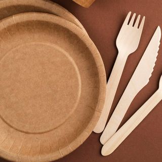 Platos Desechables 1 unidad