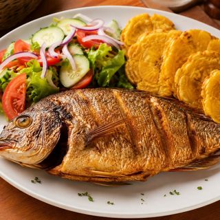 Dorada