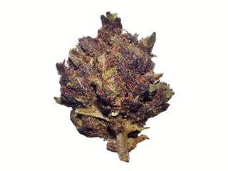 15 gramos La Cordobesa Black Panther