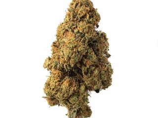 2 gramos Cogollo de Flor Aromática de CBD al 4,23% · La Cordobesa Limonera