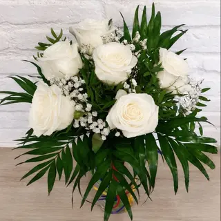 6 ROSAS BLANCAS