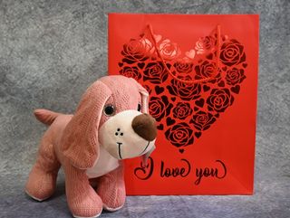 PERRITO ROSA CROCHET CON BOLSA