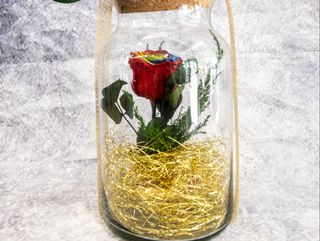 ROSA ETERNA MULTICOLOR