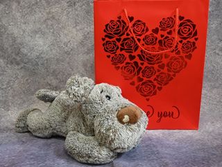 PERRITO TUMBADO GRIS CON BOLSA