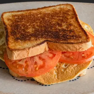 Sándwich Especial