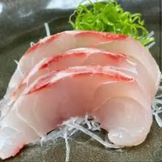 sashimi corvina