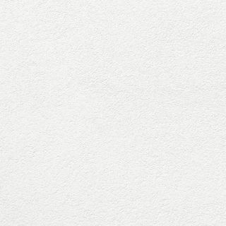 A10. Mini pan chino frito (4 Uds.) (NUEVO)