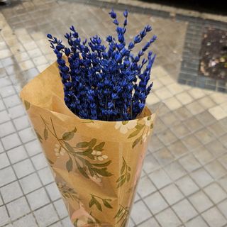 Ramo de lavanda preservado