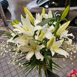 Ramo de 6 liliums orientales blancos
