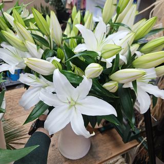 Gran ramo de 10 liliums oriental