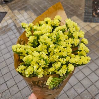 Ramo de siemprevivas amarillas