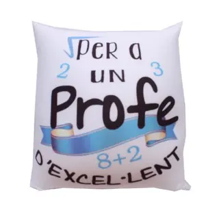 Cojín Profesor