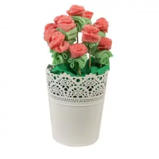 Maceta Rosas Sant Jordi