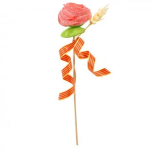 Rosa Sant Jordi