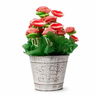 Maceta de Metal con Rosas