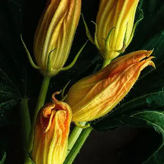Flores rellenas x6