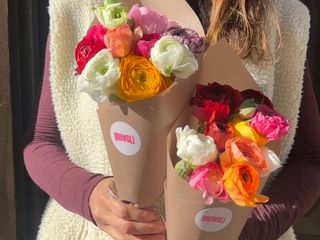 Cucurucho de Arcoíris