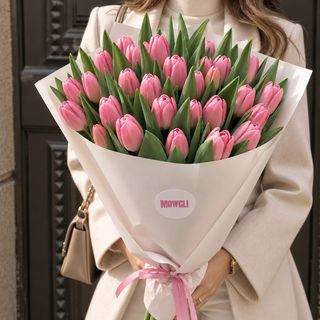 Lovely Tulips