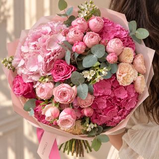 Fuchsia Paradise