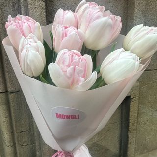 Tulipán Doble Foxtrot