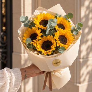 Sunny Love