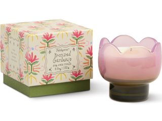 Vela Tulip / Bronzed Gardenia