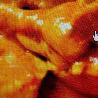 Ración De Pollo En Salsa