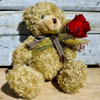 Osito peluche con rosa eterna - San Valentín