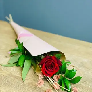 1 Rosa Roja Con Presentación