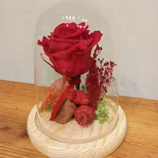 Cúpula con rosa preservada