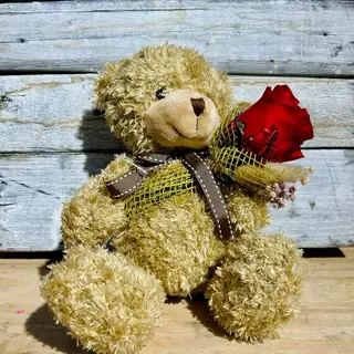 Osito peluche con rosa eterna