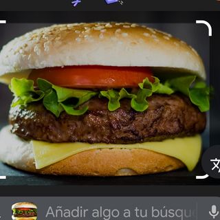Hamburguesa Premium Black Angus (200 G.)