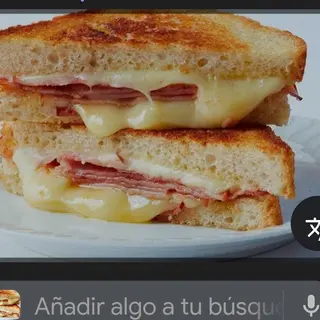 Sándwich Mixto
