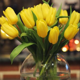 RAMO DE TULIPANES AMARILLOS