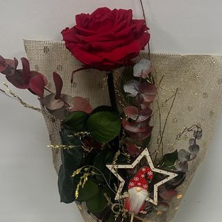 OP1-ROSA ETERNA PREMIUN